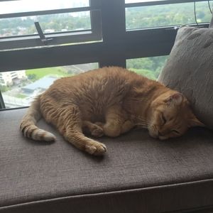 Meet your Posher, Marla